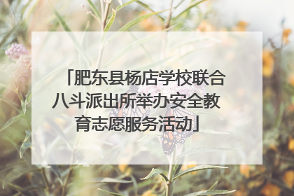 肥东县杨店学校联合八斗派出所举办安全教育志愿服务活动